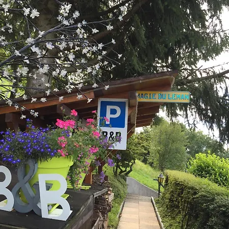 Magie Du Leman Bed & Breakfast 4*