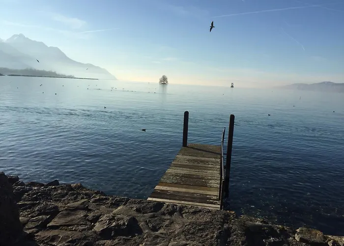 Magie Du Leman 4* Blonay